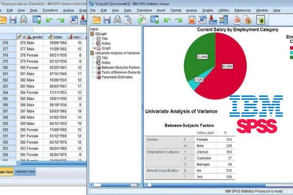 ibm-spss.jpg