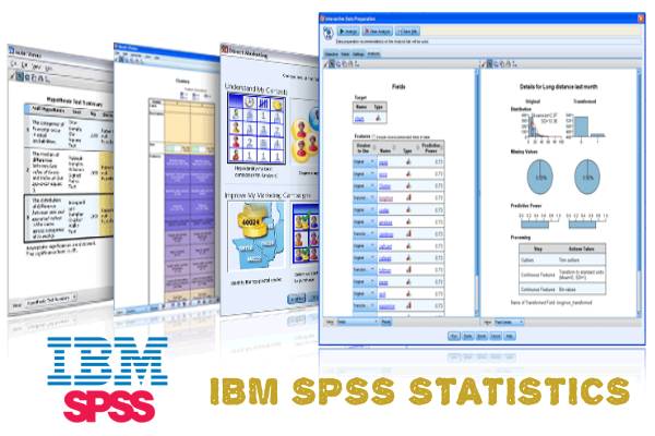 SPSS-Experience.jpg